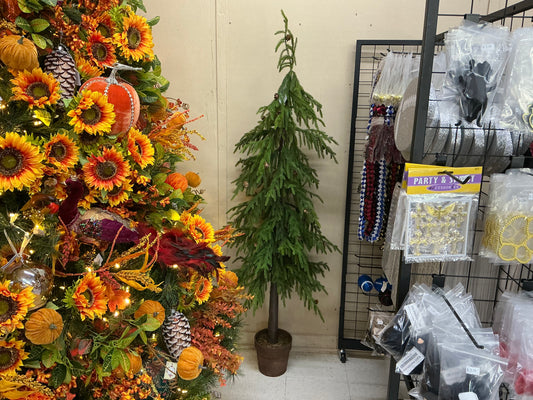 Potted soft touch Norfolk pine tree, 60”, MTX74091