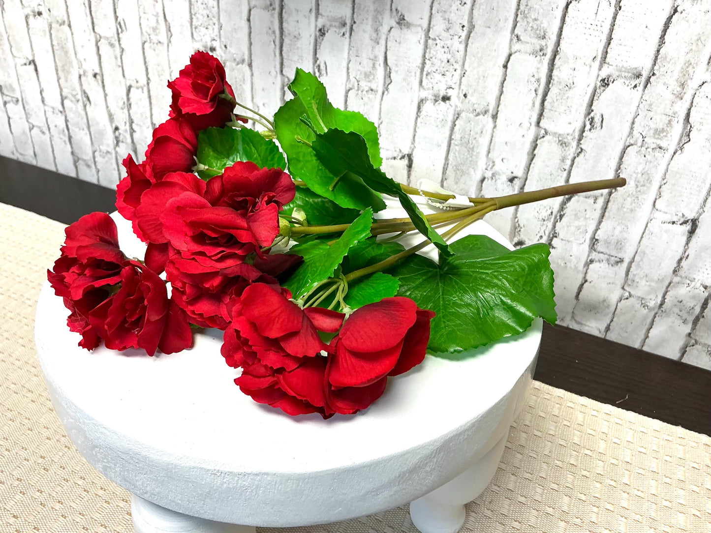 Summer Reiger Begonia, 17”, UV Protective, Red, MTF24522