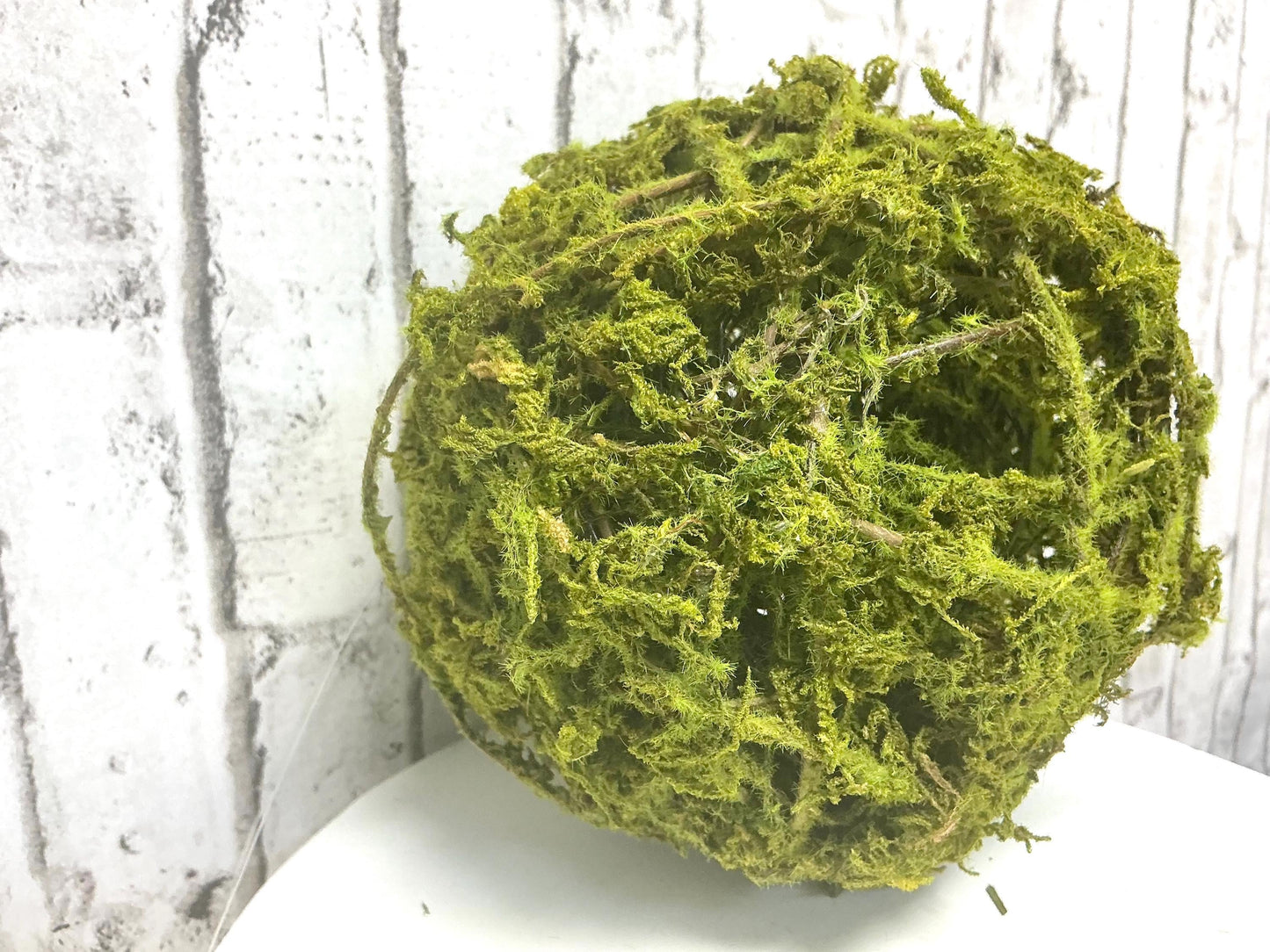 6” Moss Vine Orb