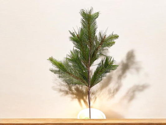 Hard Needle Pine Spray, First Cut, MTX74477