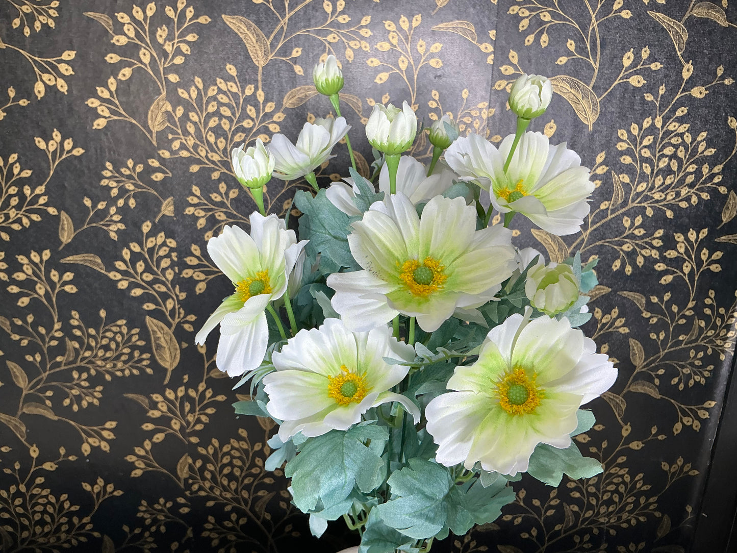 Cream Cosmos Bush - 84299-CR