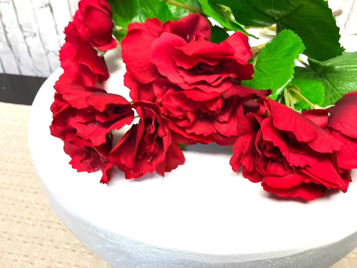 Summer Reiger Begonia, 17”, UV Protective, Red, MTF24522