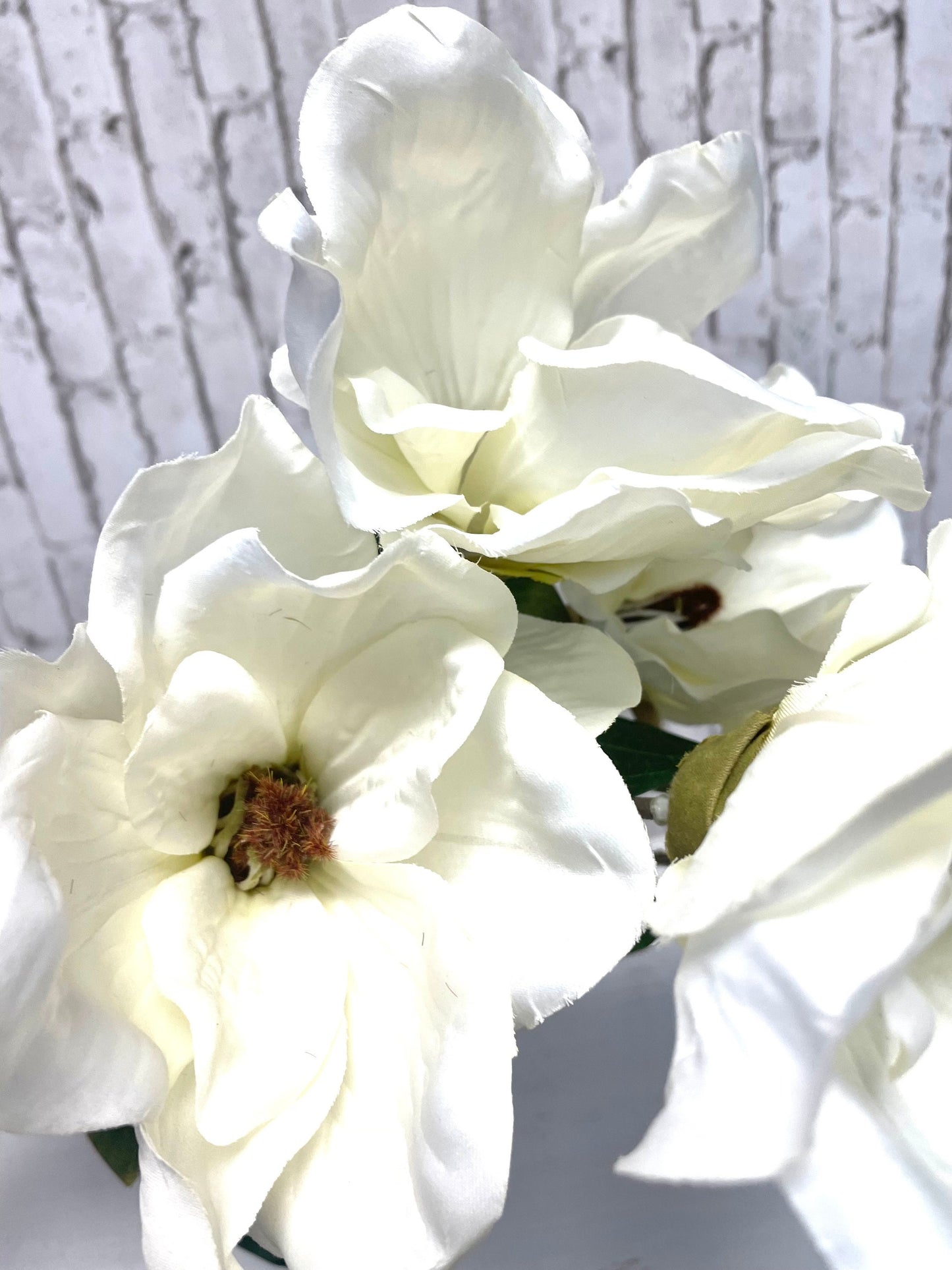White silk magnolia bush, 30494CM