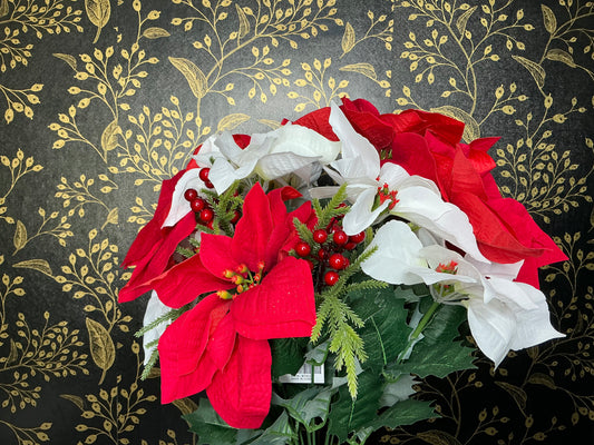 Poinsettia Bush, 85356-WTRD