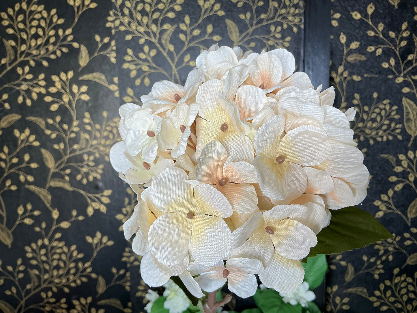 Ivory Hydrangea Stem