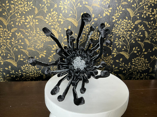 Black glitter spider flower, MTH13169