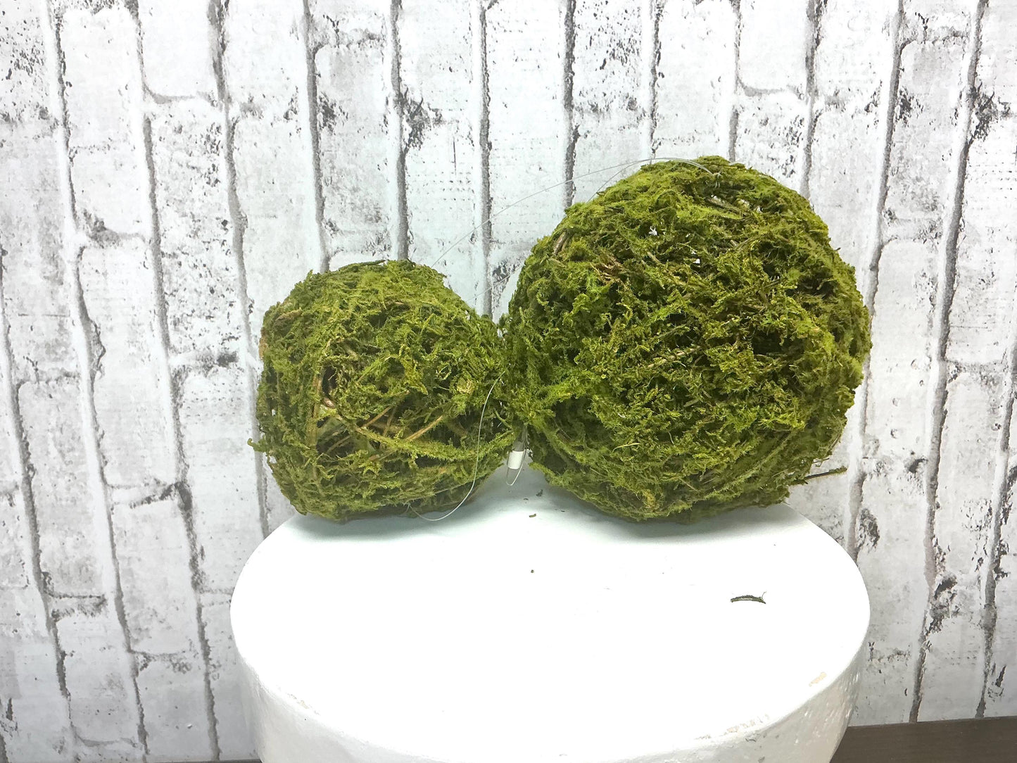 6” Moss Vine Orb