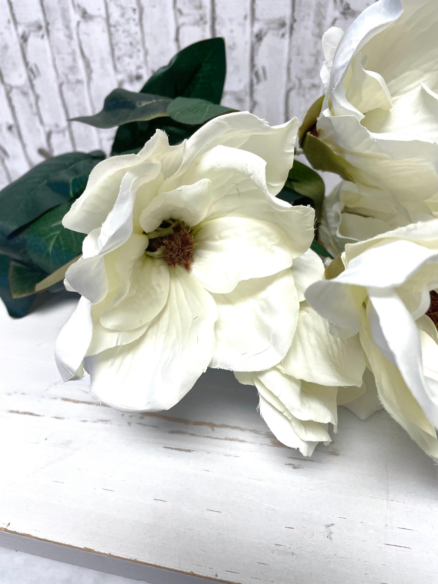 White silk magnolia bush, 30494CM