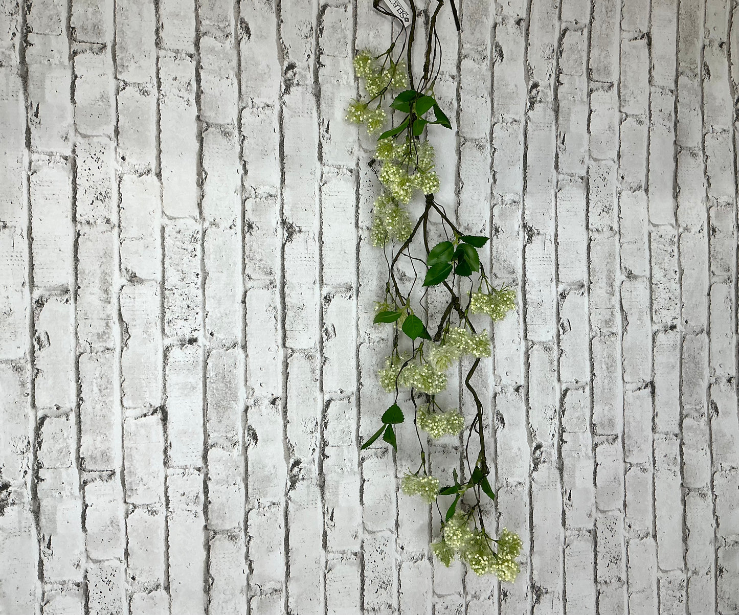 Puff Blossom Vine, 6431-C