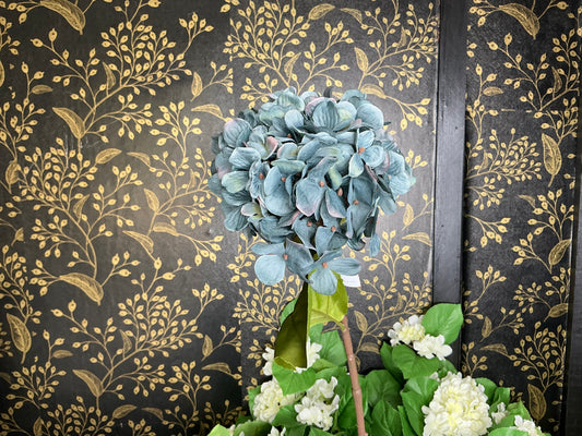 Grey Hydrangea Stem