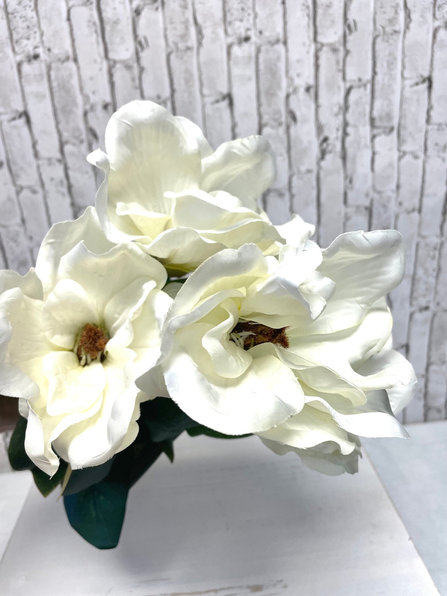 White silk magnolia bush, 30494CM