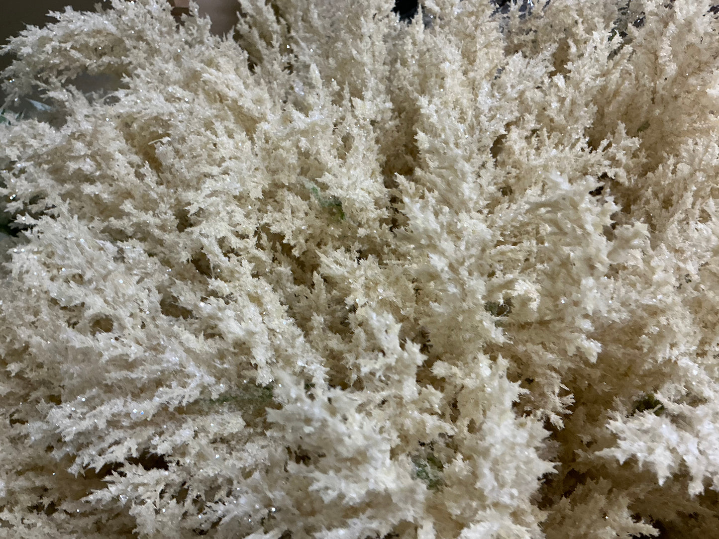Cream Heather, F4212955