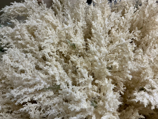 Cream Heather, F4212955