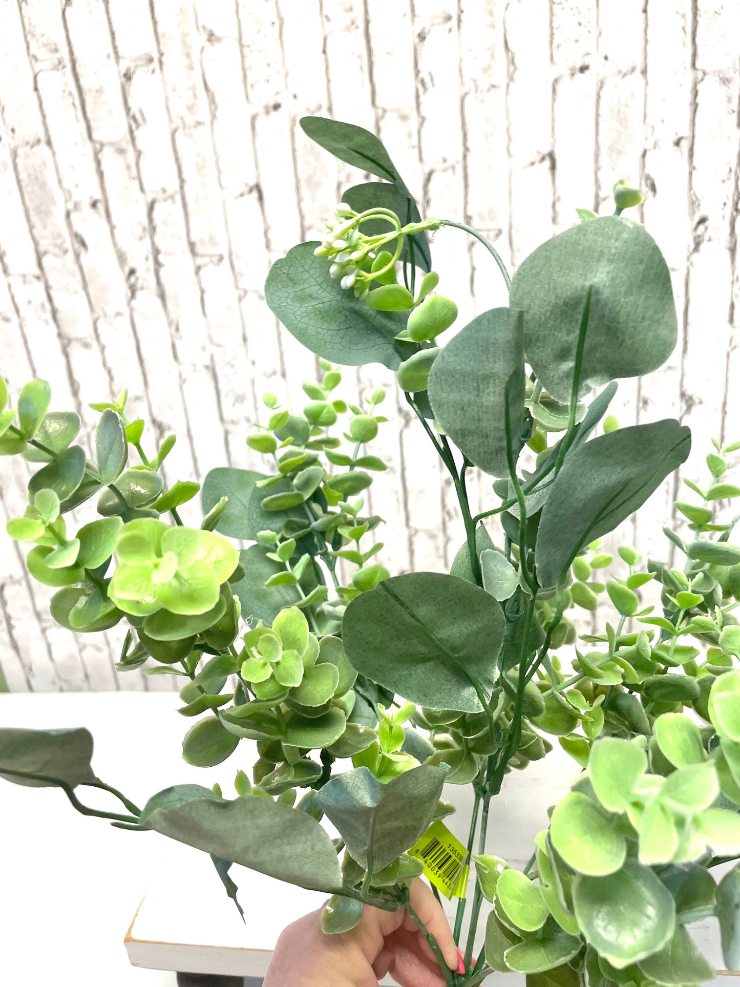 Eucalyptus bush, eucalyptus silver dollar bush, 13533BU20, greenery bush, spring greenery, summer greenery, everyday greenery
