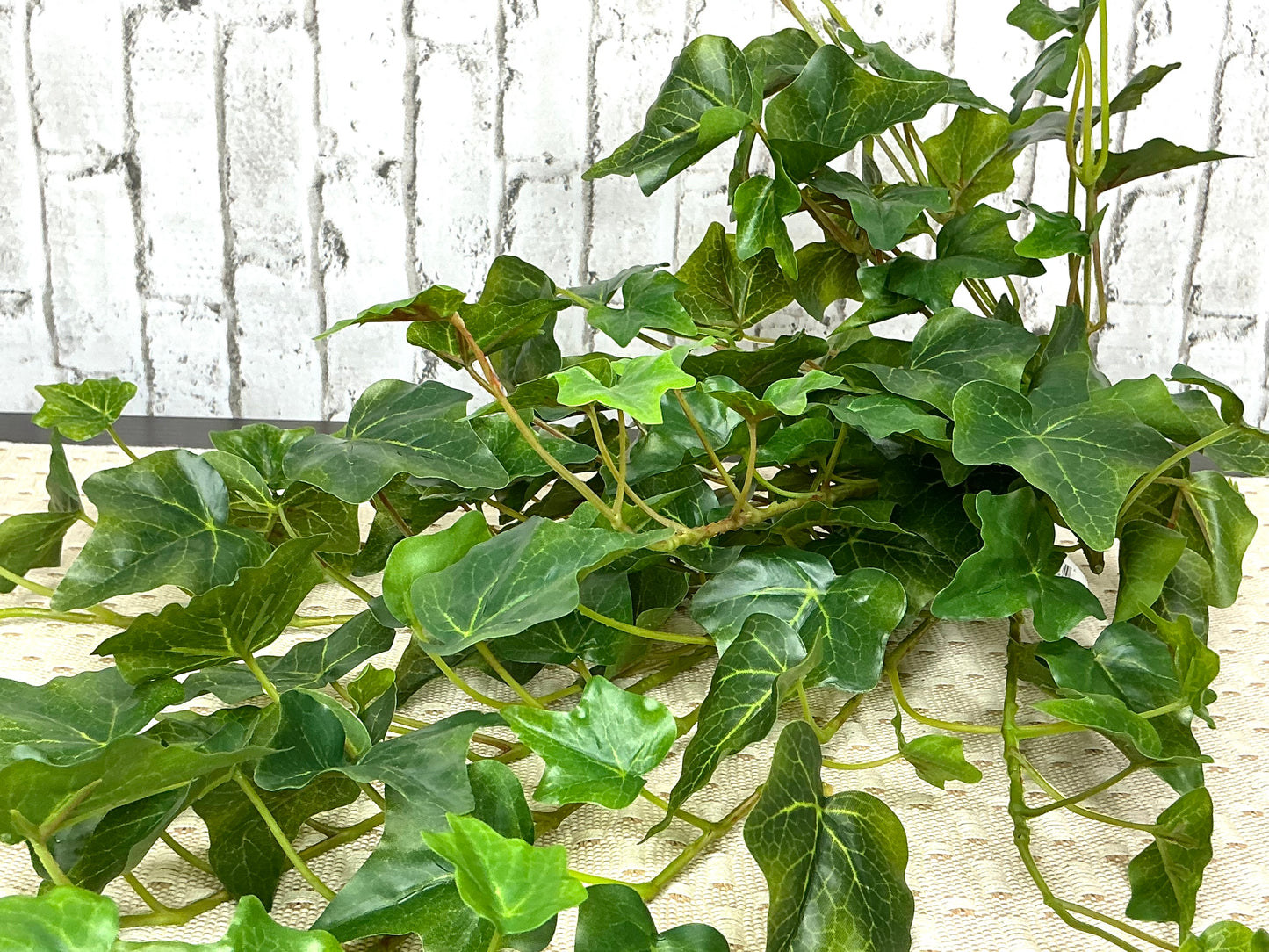 English Garden Ivy Hanging Bush, MTF24573