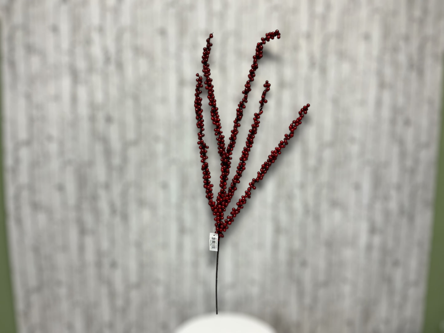 Berry Branch, 186613