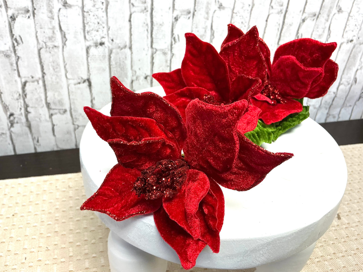 Small Poinsettia stem, 127995
