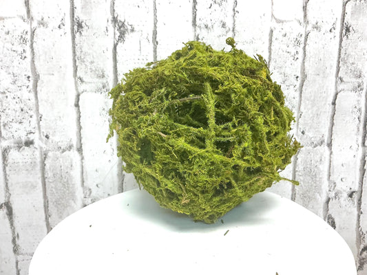 6” Moss Vine Orb