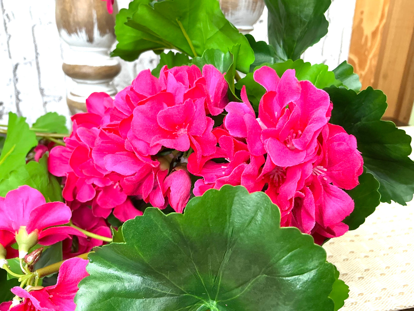 Just Cut Hanging Geranium Plant, MTF24298