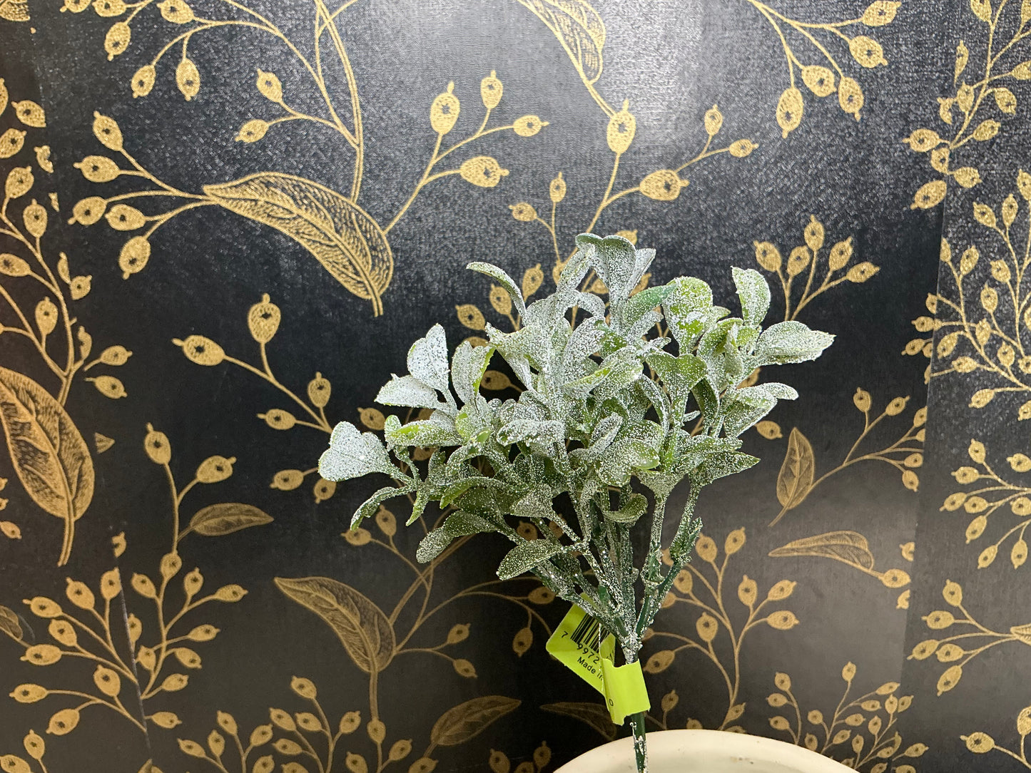 Boxwood Pick, XP551138-068