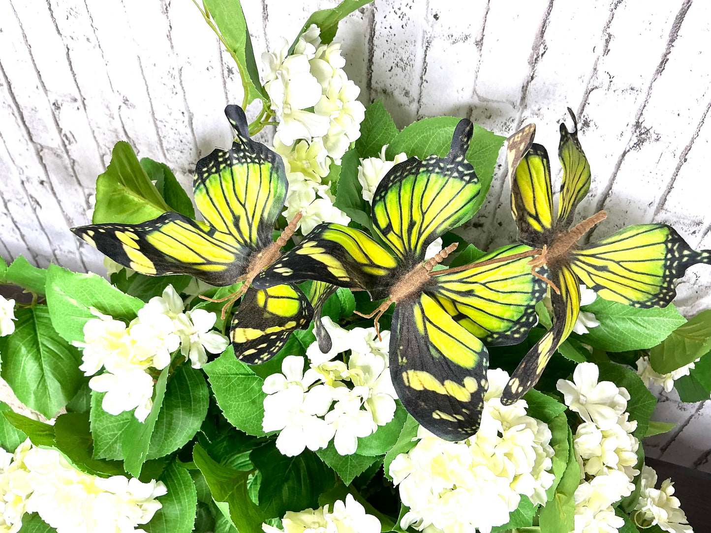 Green Butterfly Stem X3, MTF24441