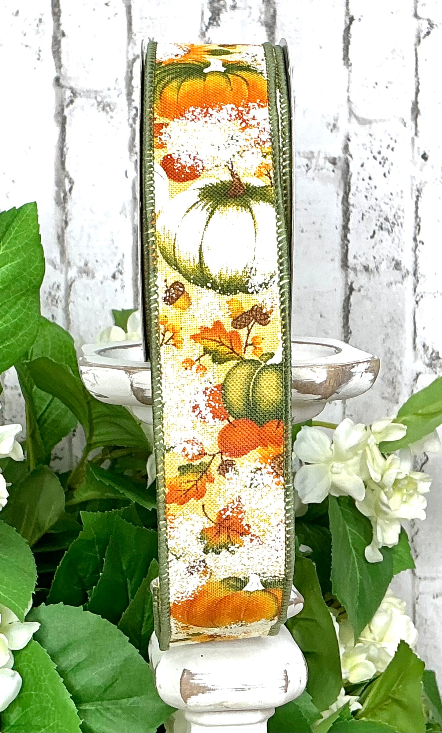 Pumpkin ribbon, RGF1231M5