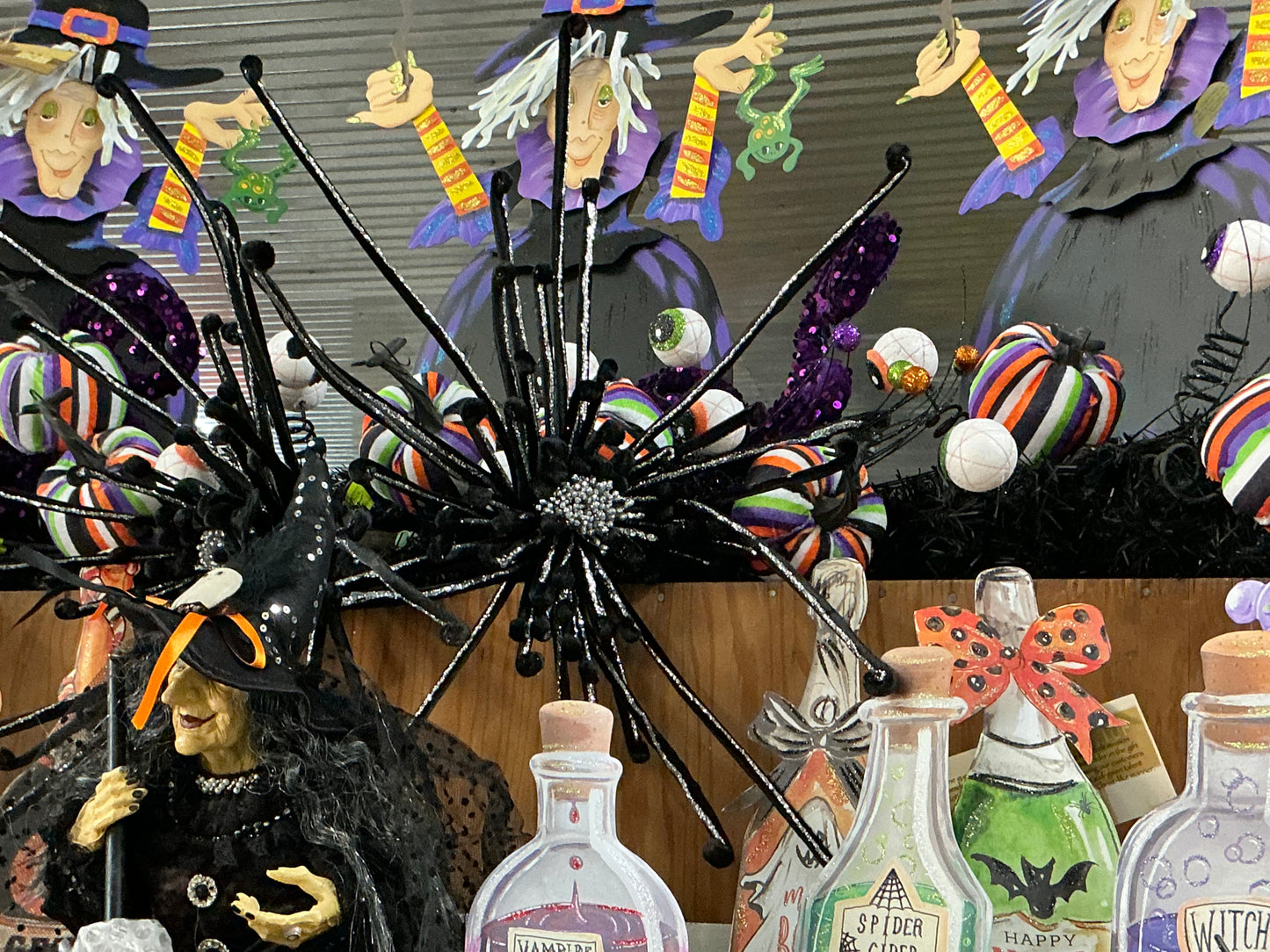Black glitter spider flower, MTH13169