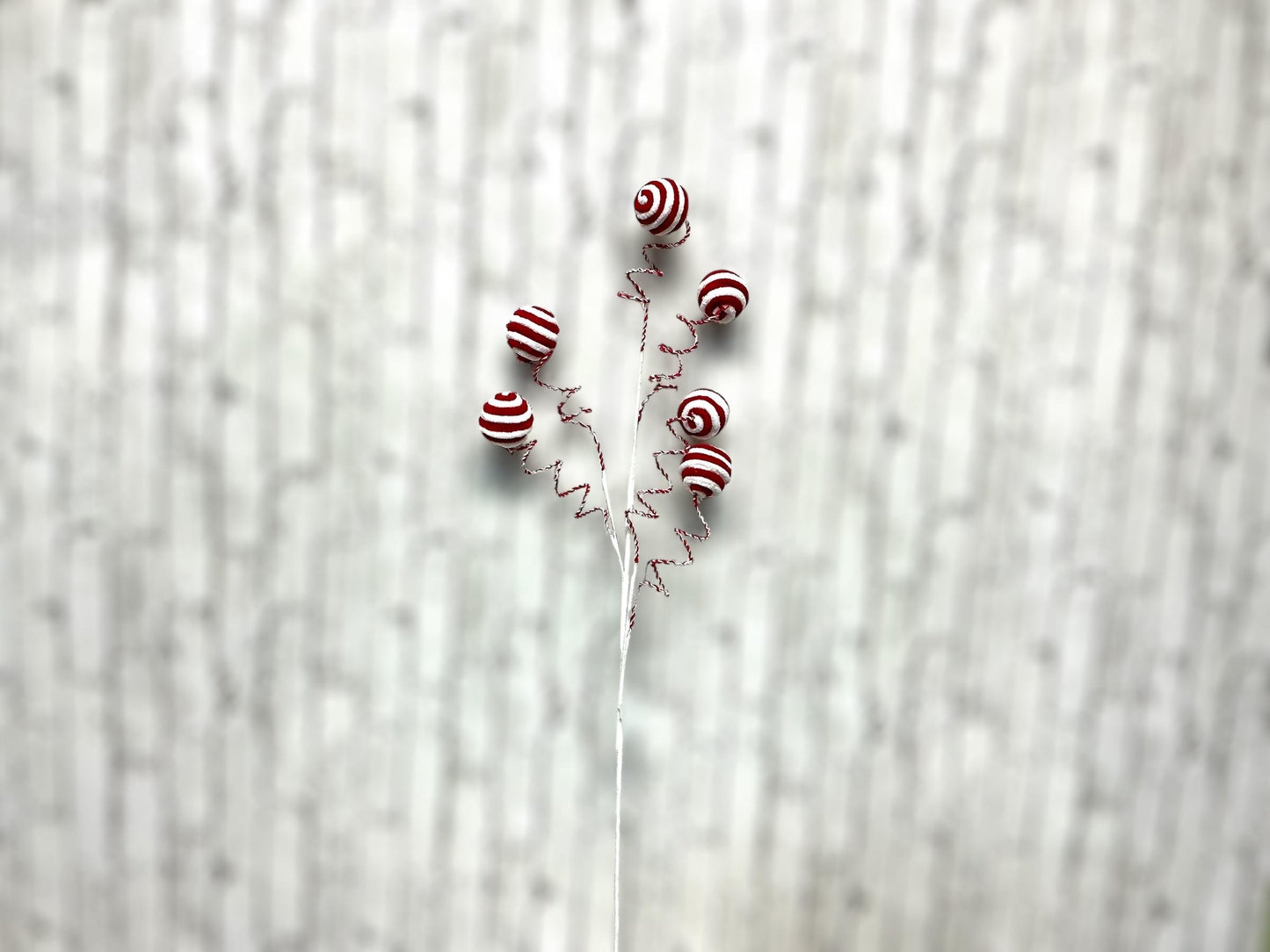 Striped Yard Ball Curly Spray, Red and White, Peppermint, XS117832