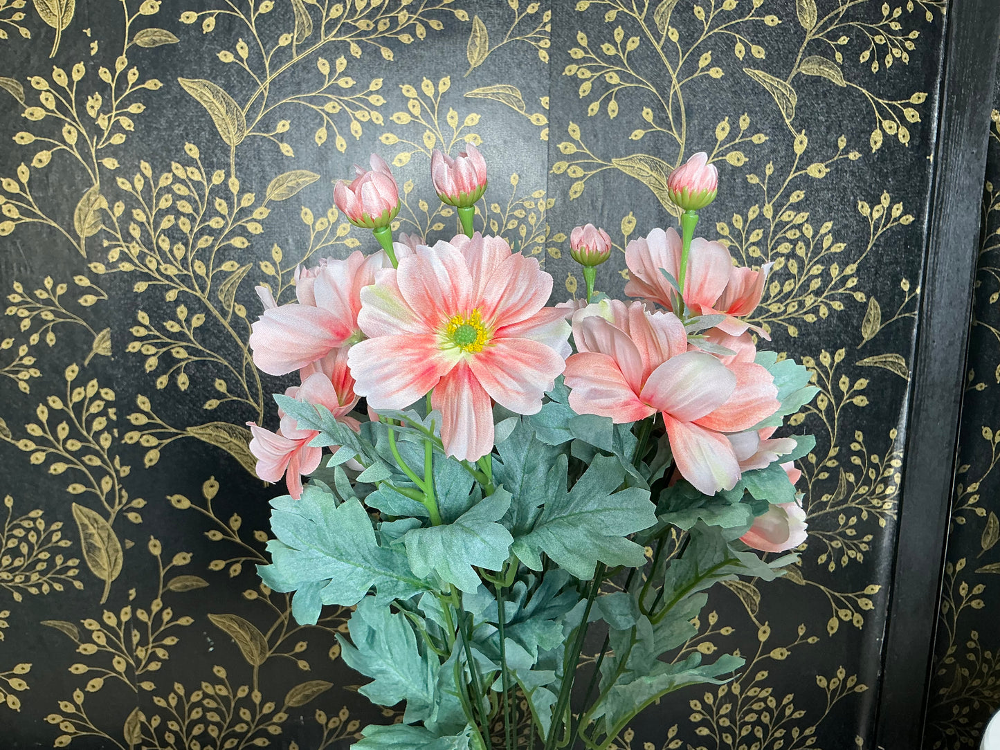 Peach Cosmos Bush - 84299-PH