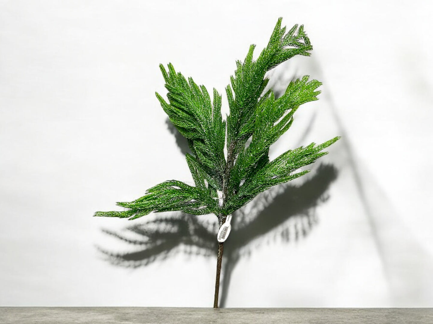 Norfolk pine pick, Soft Touch, F4302383