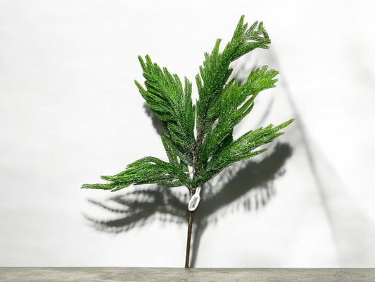 Norfolk pine pick, Soft Touch, F4302383