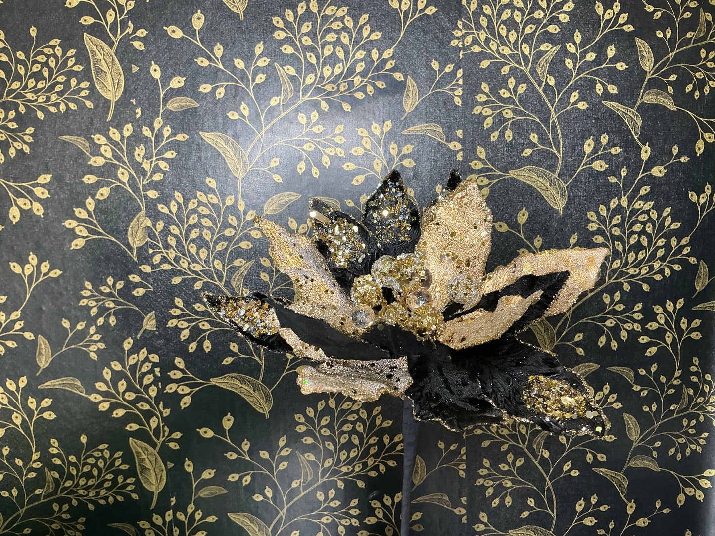 Black and Gold Poinsettia, MTX72651