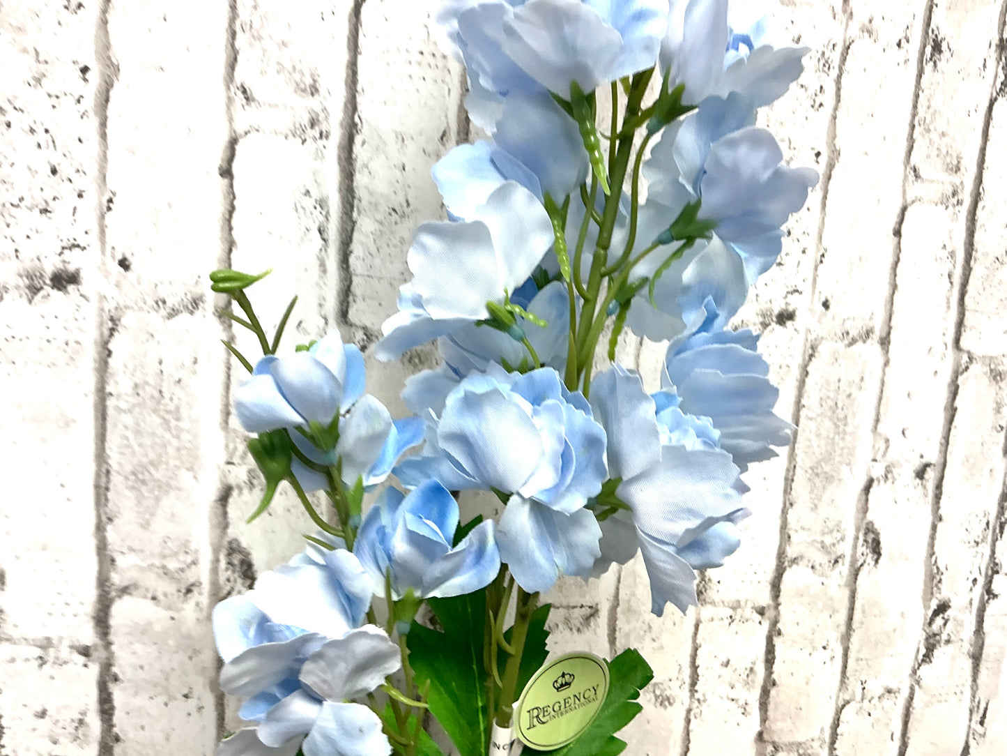 Soft touch delphinium spray, MTF24420