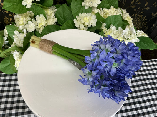 Purple Hyacinth Bundle