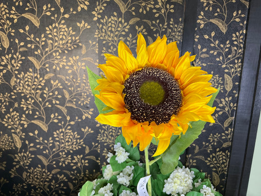Yellow Sunflower Stem