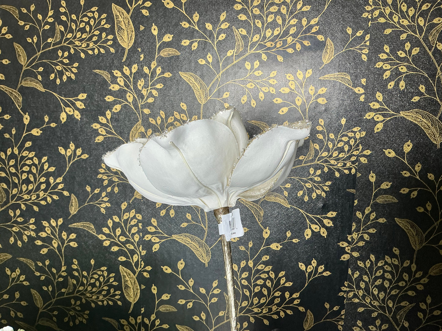 Jeweled Magnolia, Ivory, CF111-62