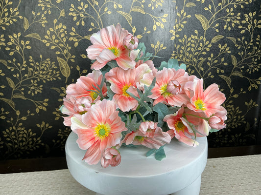 Peach Cosmos Bush - 84299-PH