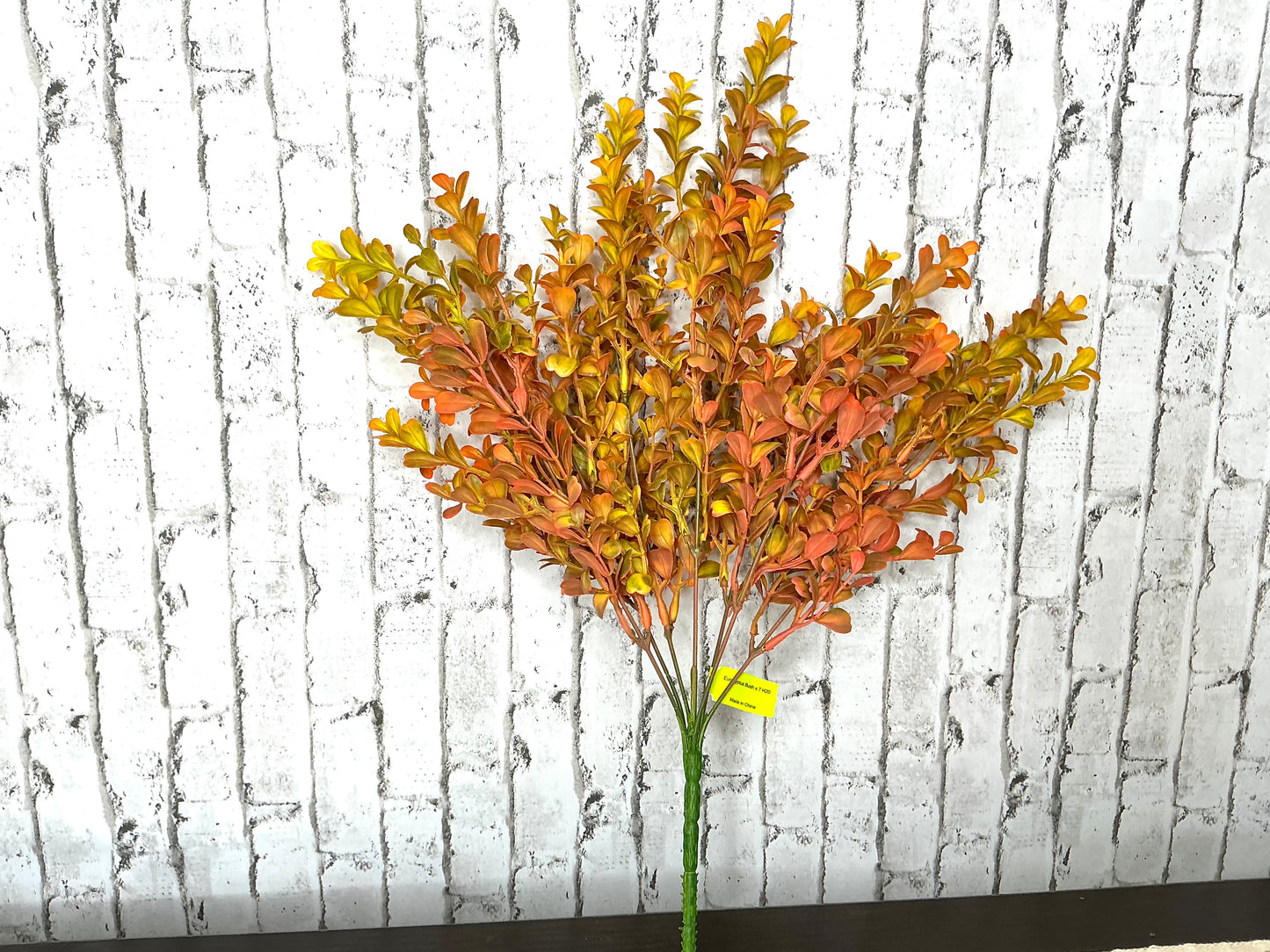 Fall Eucalyptus Bush, 57094OR