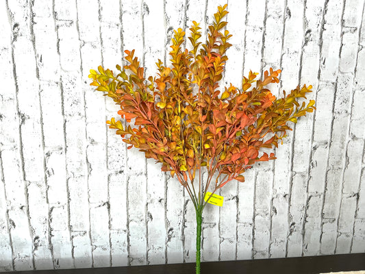 Fall Eucalyptus Bush, 57094OR
