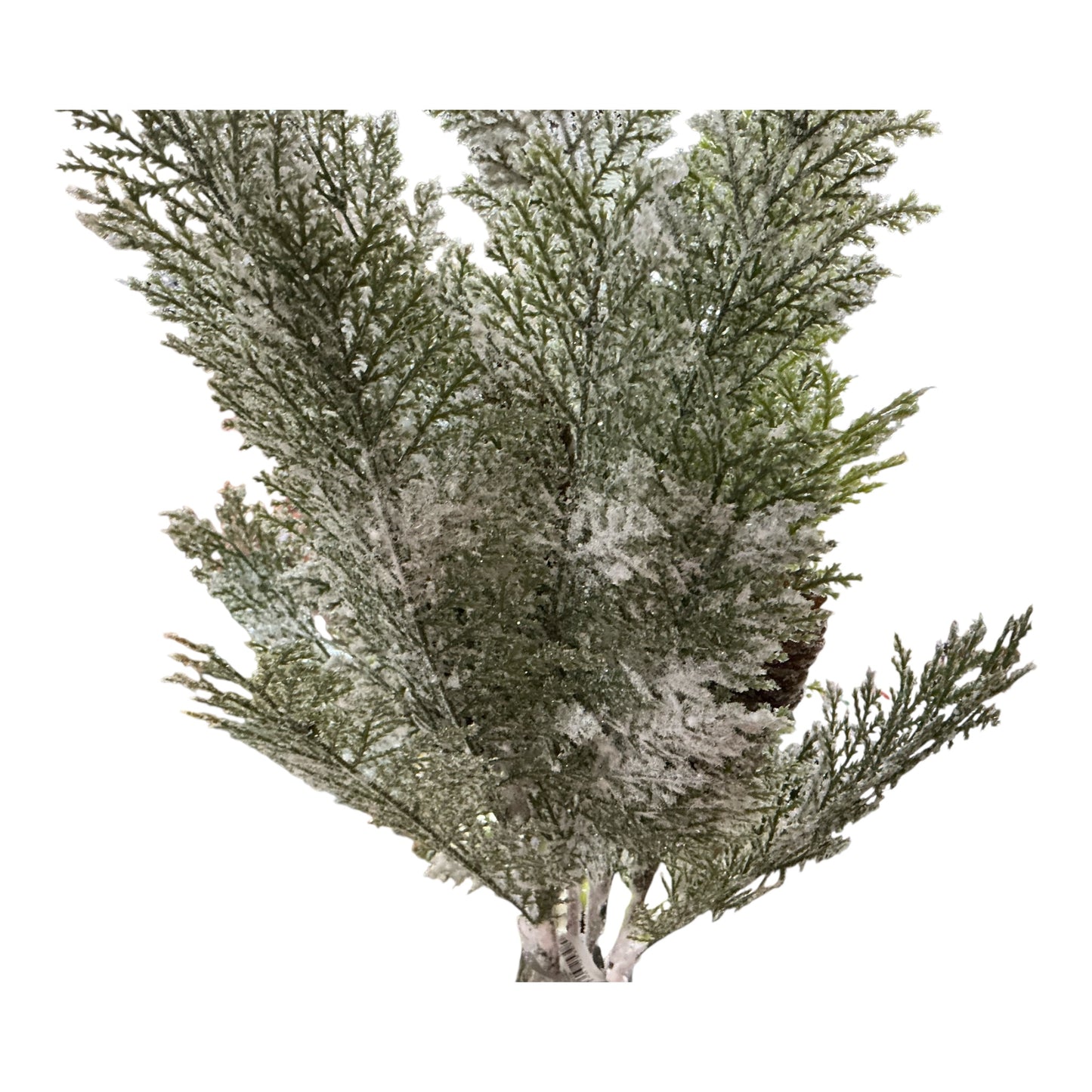 Cedar/Acacia bush with pine cone, MTX74516