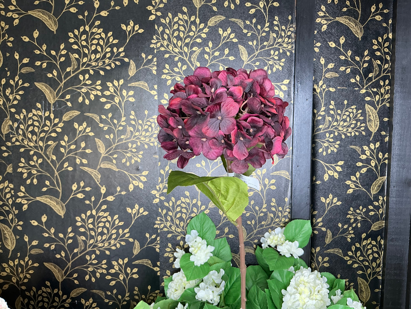 Burgundy Hydrangea Stem