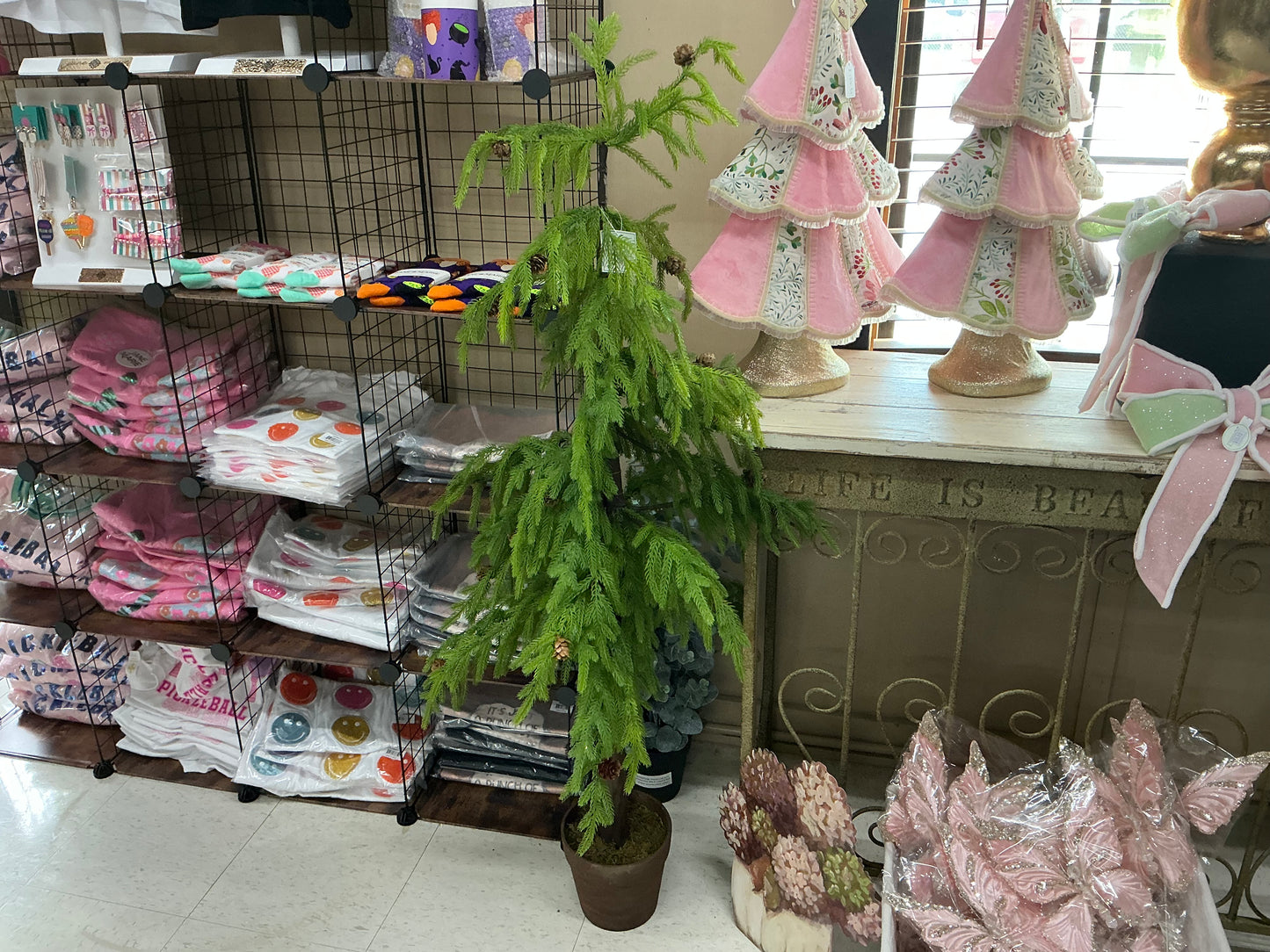 Potted soft touch Norfolk Pine Tree, 48”, MTX74088