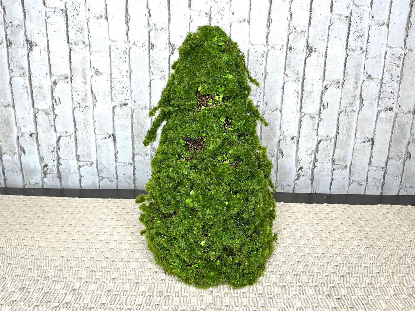 Moss cone tree, MTF24149