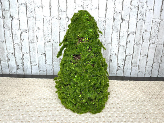 Moss cone tree, MTF24149