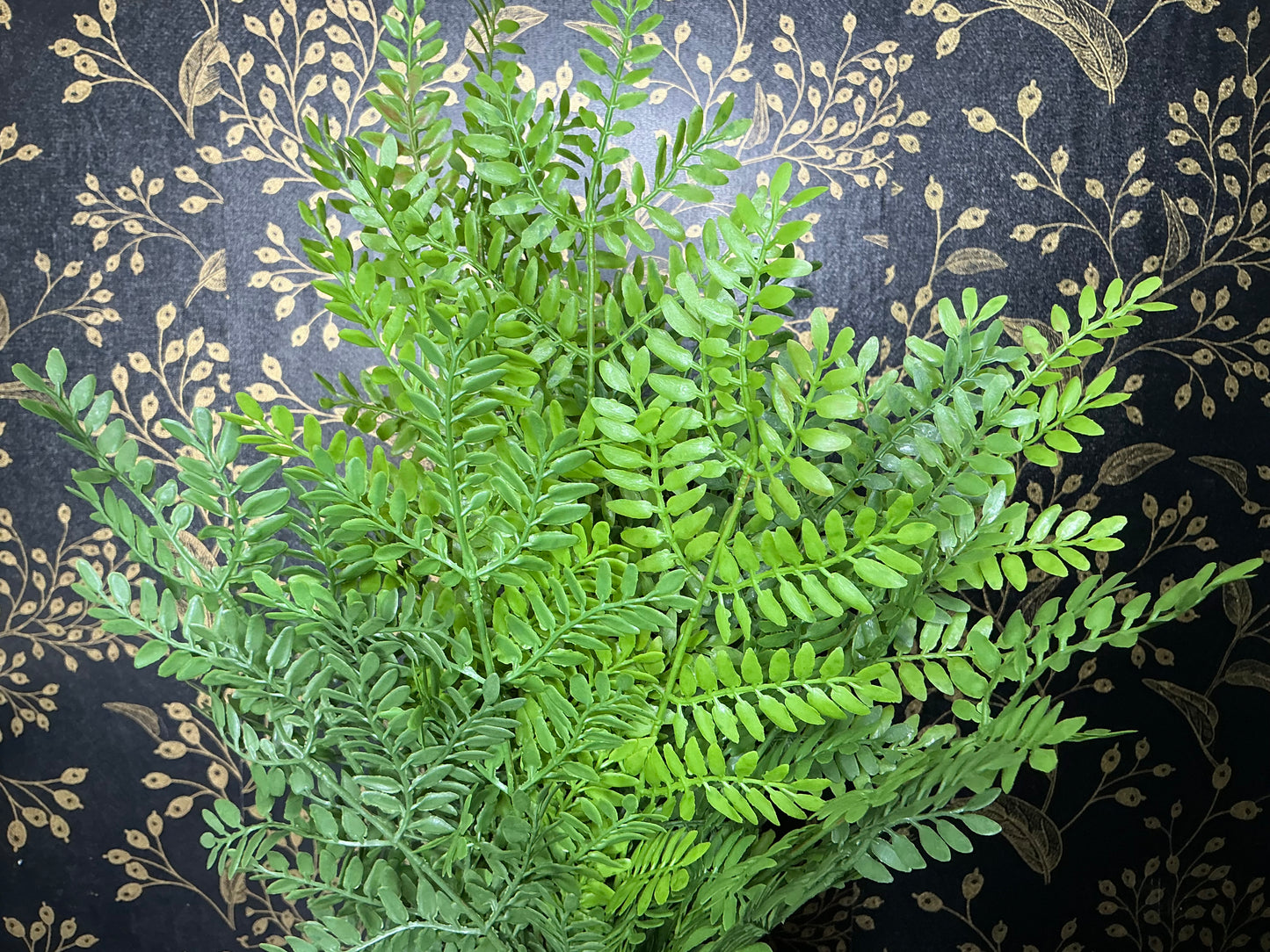 Soft Touch Apls Fern/UV - 85541-UV