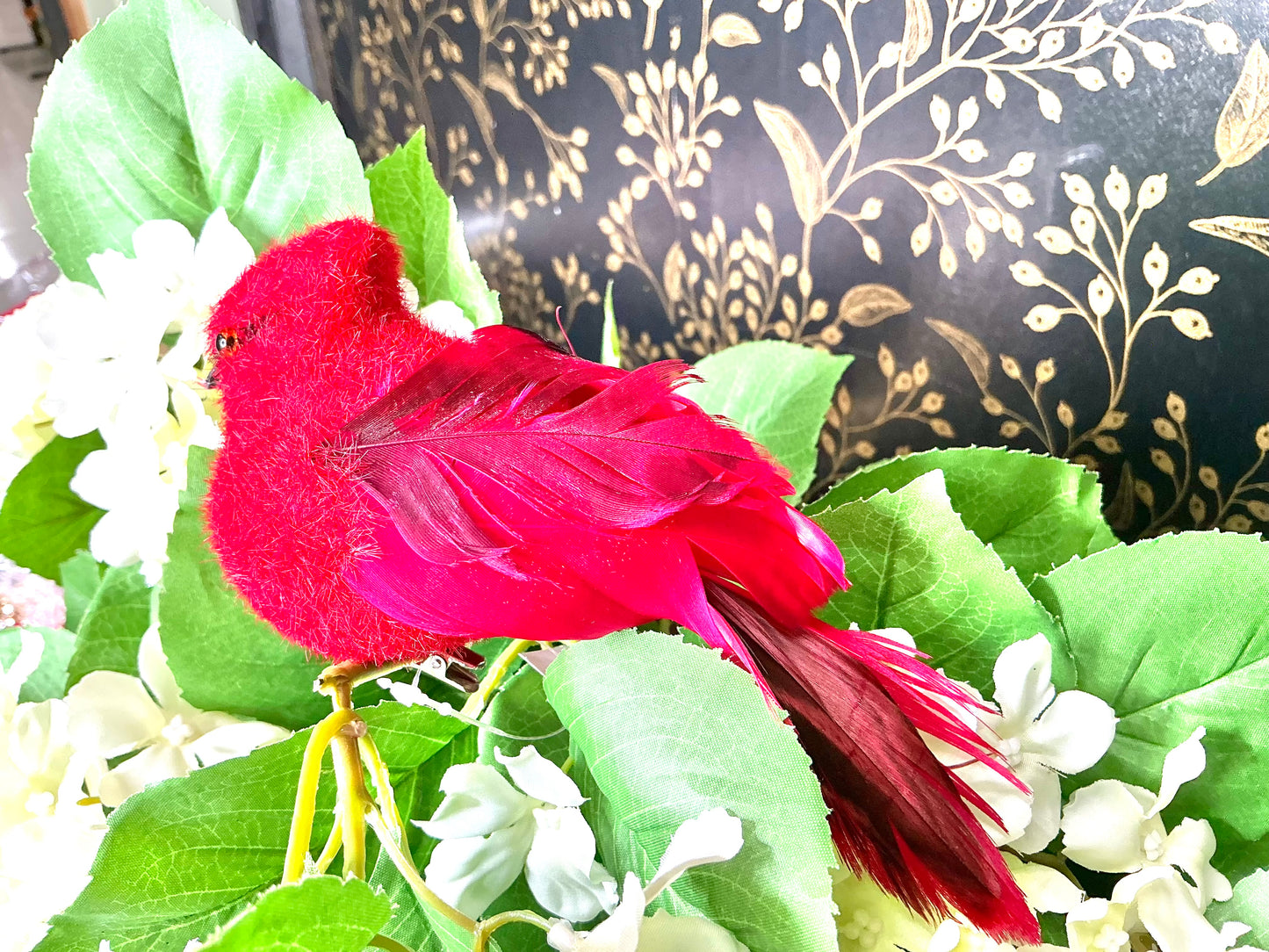 Cardinal, 91662