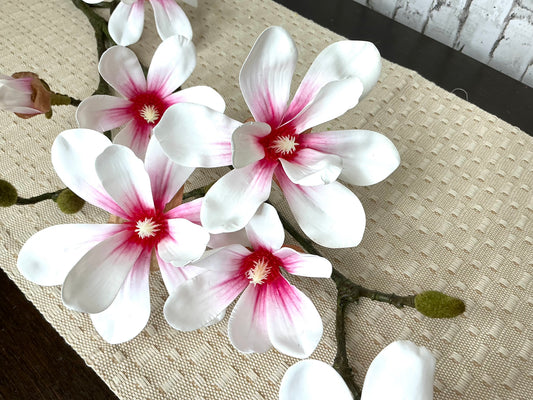Natural touch Japanese magnolia stem, MTF24438