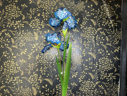 Blue spotted Iris Stem