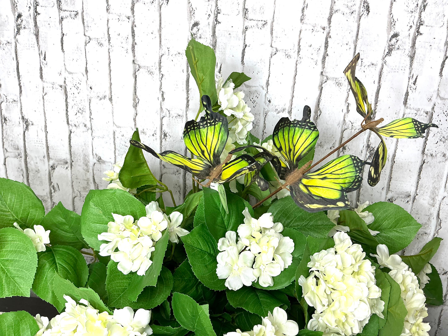 Green Butterfly Stem X3, MTF24441