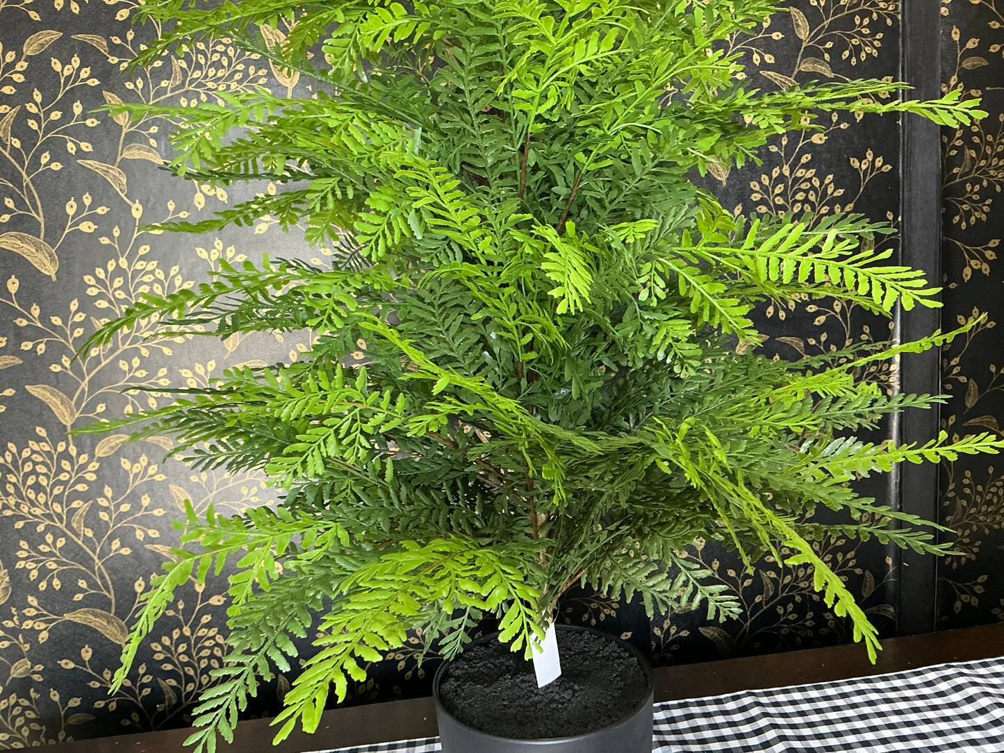 Artificial Jim Fern potted - Soft Touch - UV